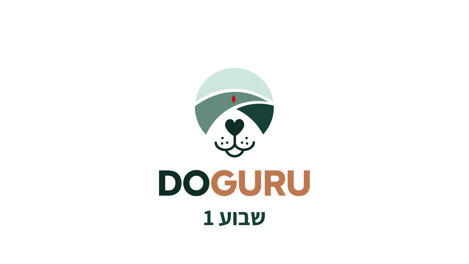 שבוע 1